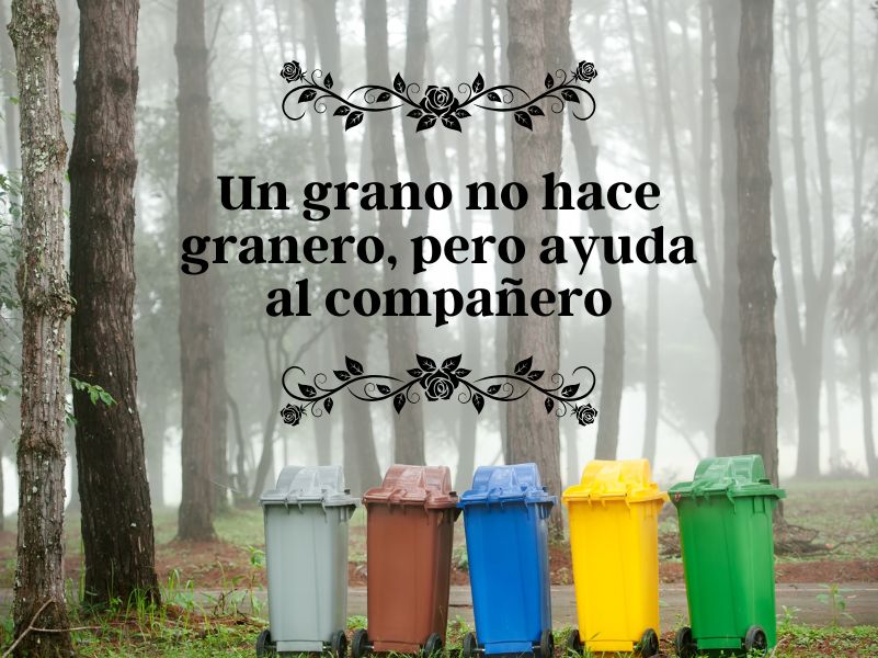 Consumo responsable 2 Buenas prácticas consumo responsable - Comercio Verde Asturias