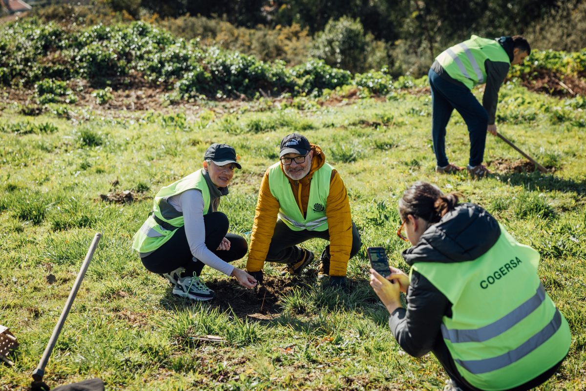 Plantación de árboles Luanco 14