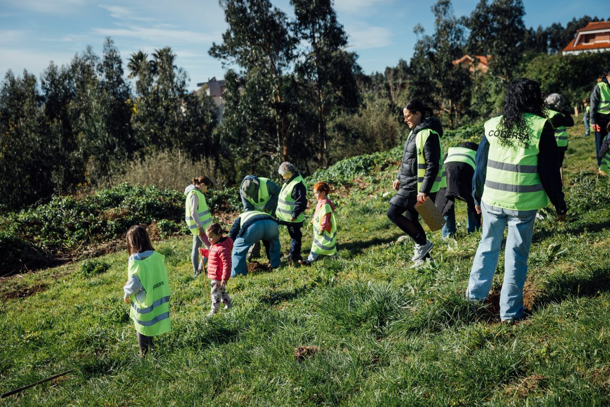 Plantación de árboles Luanco 12