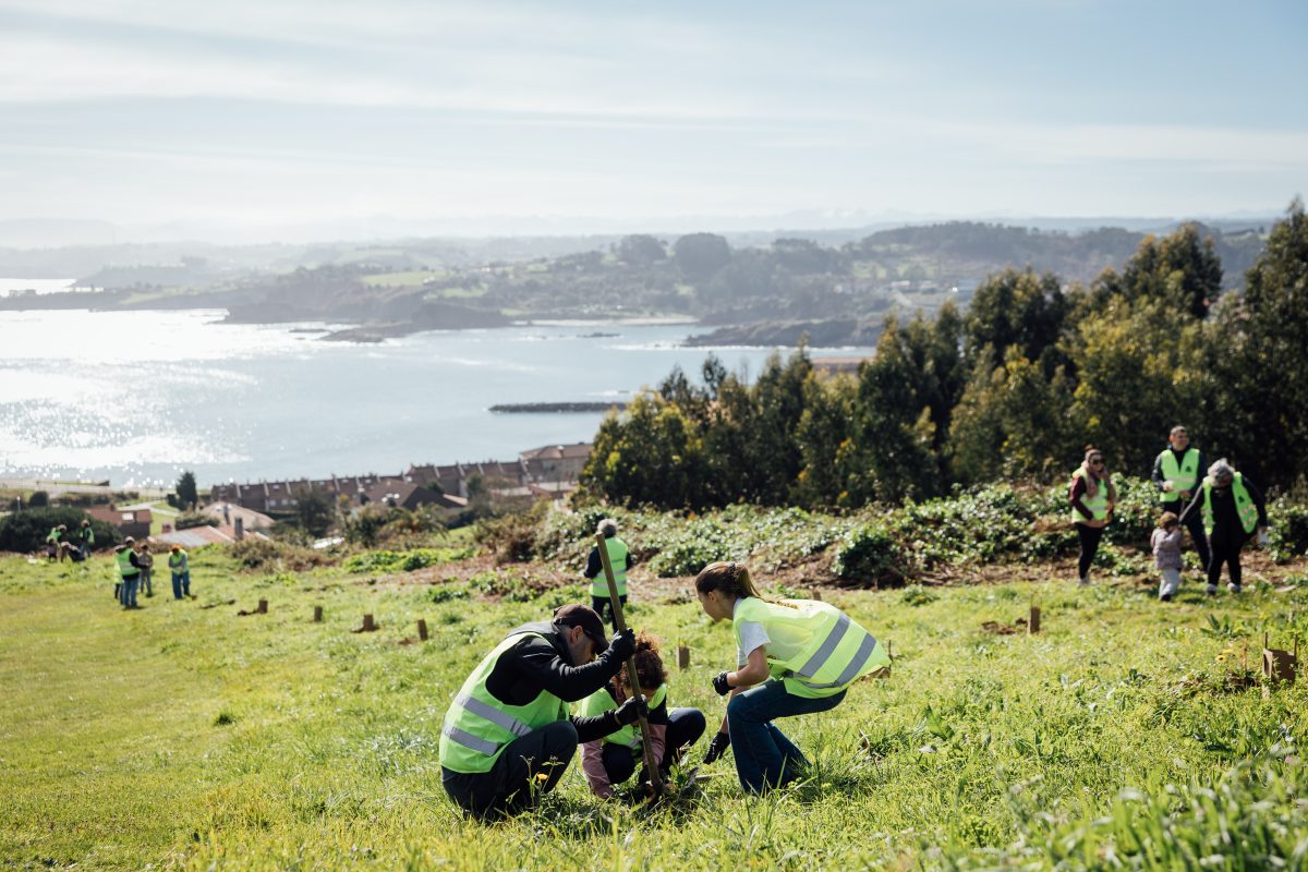Plantación de árboles Luanco 5