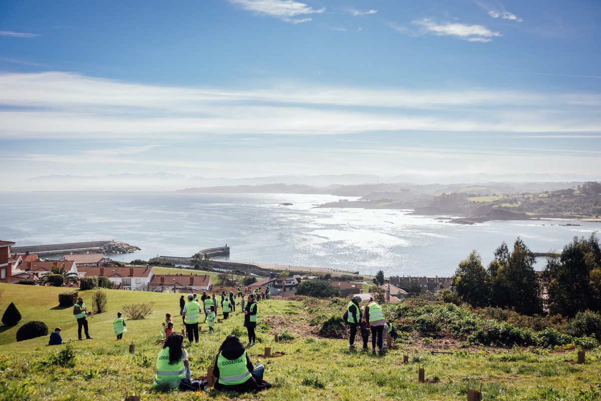 Plantación de árboles Luanco 4