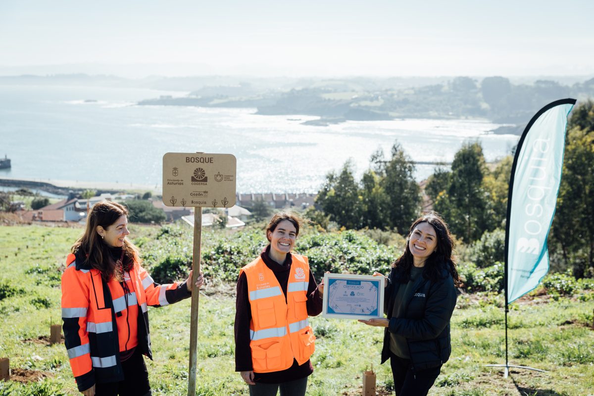 Plantación de árboles Luanco 1