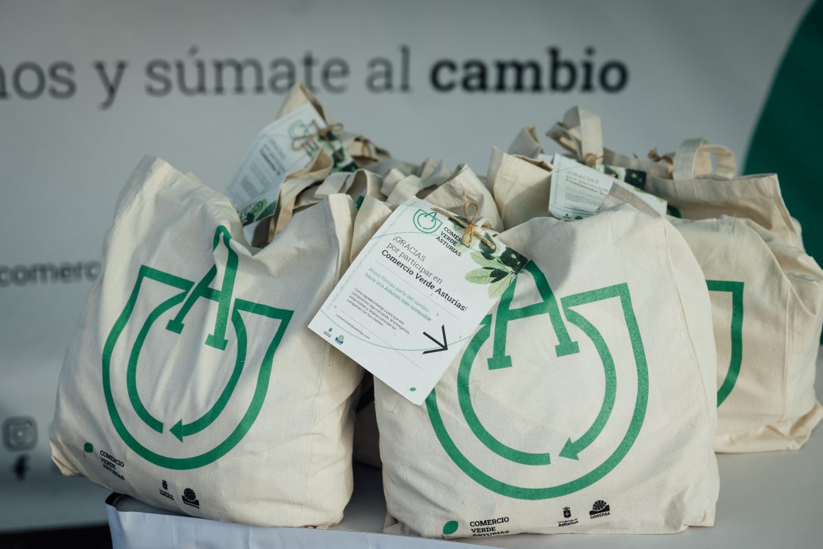 Plantación de árboles Luanco 33