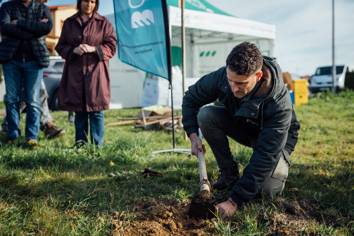 Plantación de árboles Luanco 26