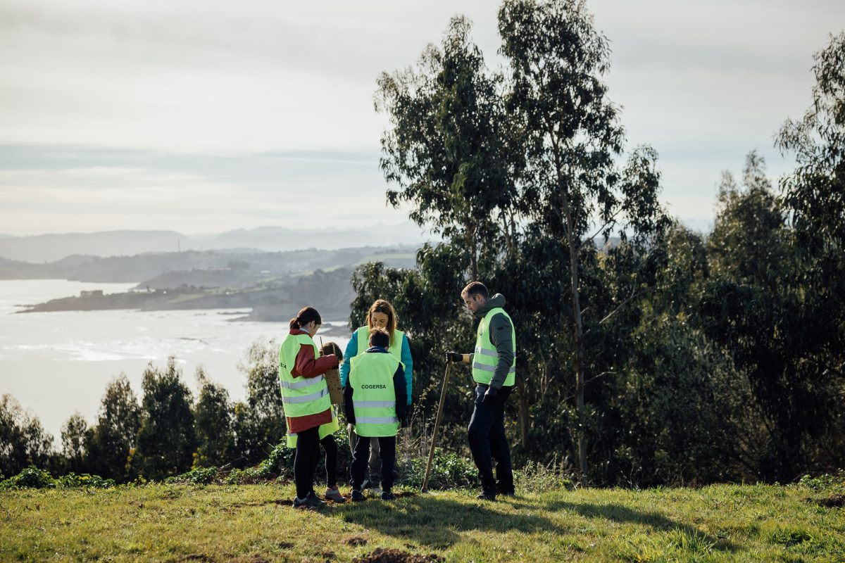 Plantación de árboles Luanco 19