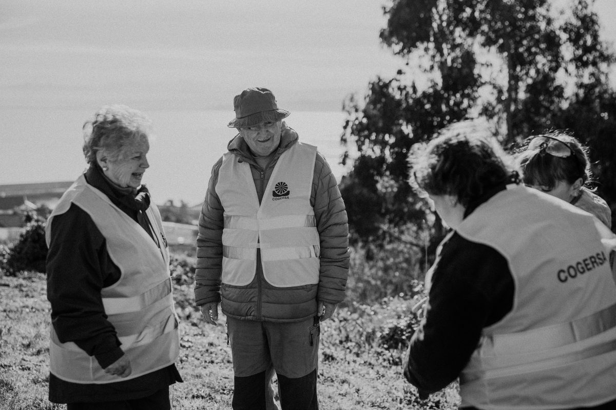 Plantación de árboles Luanco 15